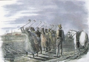 British Caribbean Sugar African Slave Death Camp